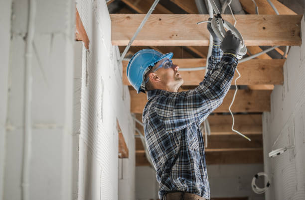 Best Electric Panel Repair  in Lake Delton, WI