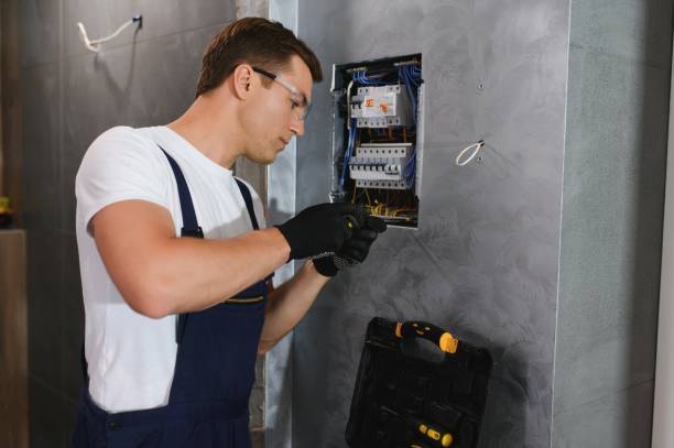 Best Electrical System Inspection  in Lake Delton, WI